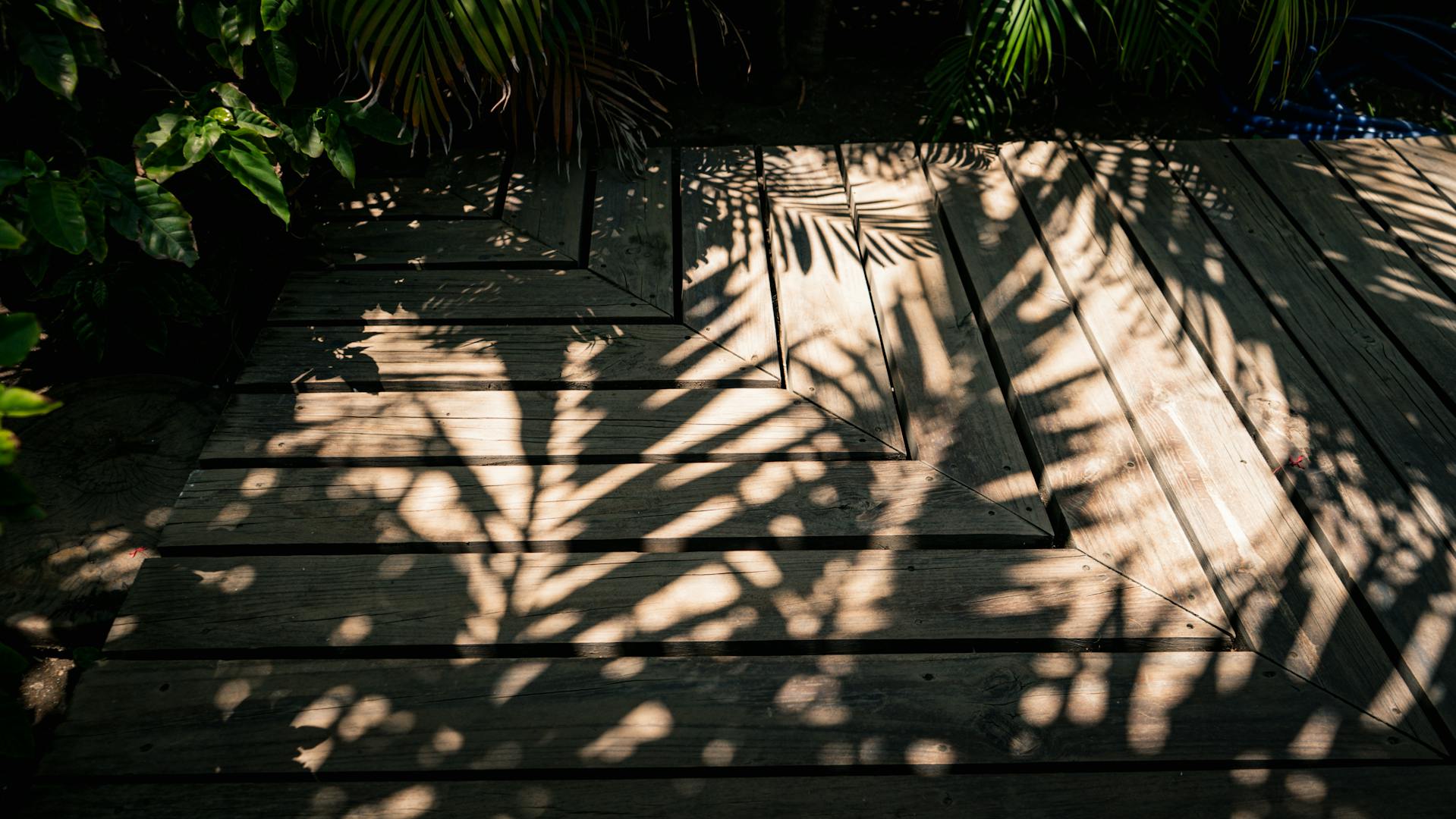 deck sanding Sydney
